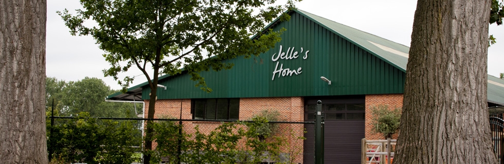 jelles home