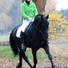 fotoboek
