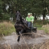 fotoboek