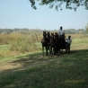 fotoboek