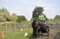 OPEN DAG JELLE'S HOME 2012