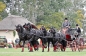 EUROPEES KAMPIOENSCHAP IZSAK 2013