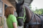 Photoshoot zomer 2011