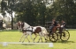 OPEN DAG JELLE'S HOME 2012