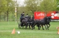 SUCCES IN HORST