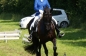 MONIEK GEVERS SUCCESVOL IN DRESSUUR