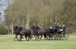 WINST IN ZANDHOVEN (CAN)