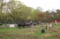 SUCCES IN HORST