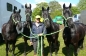 ROYAL WINDSOR