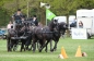 SUCCES IN HORST