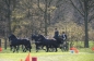 WINST IN ZANDHOVEN (CAN)