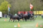 SUCCES IN HORST