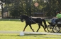 OPEN DAG JELLE'S HOME 2012