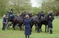 ROYAL WINDSOR