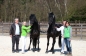 GEWELDIG RESULTAAT HENGSTENKEURING