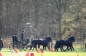 WINST IN ZANDHOVEN (CAN)