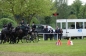 ROYAL WINDSOR