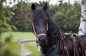 Photoshoot zomer 2011