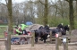 ALLE PAARDEN GEKWALIFICEERD!