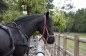 Photoshoot zomer 2011