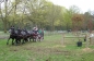 SUCCES IN HORST