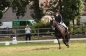 OPEN DAG JELLE'S HOME 2012