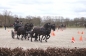 ALLE PAARDEN GEKWALIFICEERD!