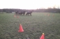 TRAINING WITH BOYD EXELL