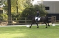 OPEN DAG JELLE'S HOME 2012