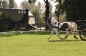 OPEN DAG JELLE'S HOME 2012