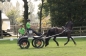 OPEN DAG JELLE'S HOME 2012