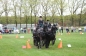 SUCCES IN HORST