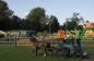 OPEN DAG JELLE'S HOME 2012