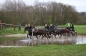 ALLE PAARDEN GEKWALIFICEERD!