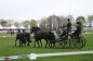 SUCCES IN HORST