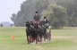 EUROPEES KAMPIOENSCHAP IZSAK 2013