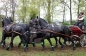SUCCES IN HORST