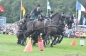 CAI BEEKBERGEN 2012