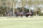 WINST IN ZANDHOVEN (CAN)