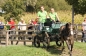 OPEN DAG JELLE'S HOME 2012
