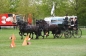 SUCCES IN HORST