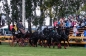 EUROPEES KAMPIOENSCHAP IZSAK 2013