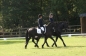 OPEN DAG JELLE'S HOME 2012