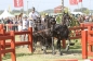 EUROPEES KAMPIOENSCHAP IZSAK 2013