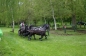 ROYAL WINDSOR