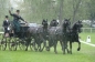 ROYAL WINDSOR