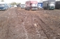 ROYAL WINDSOR