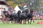 EUROPEES KAMPIOENSCHAP IZSAK 2013