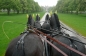 ROYAL WINDSOR