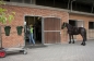 Photoshoot zomer 2011